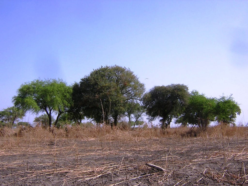 Waza National Park