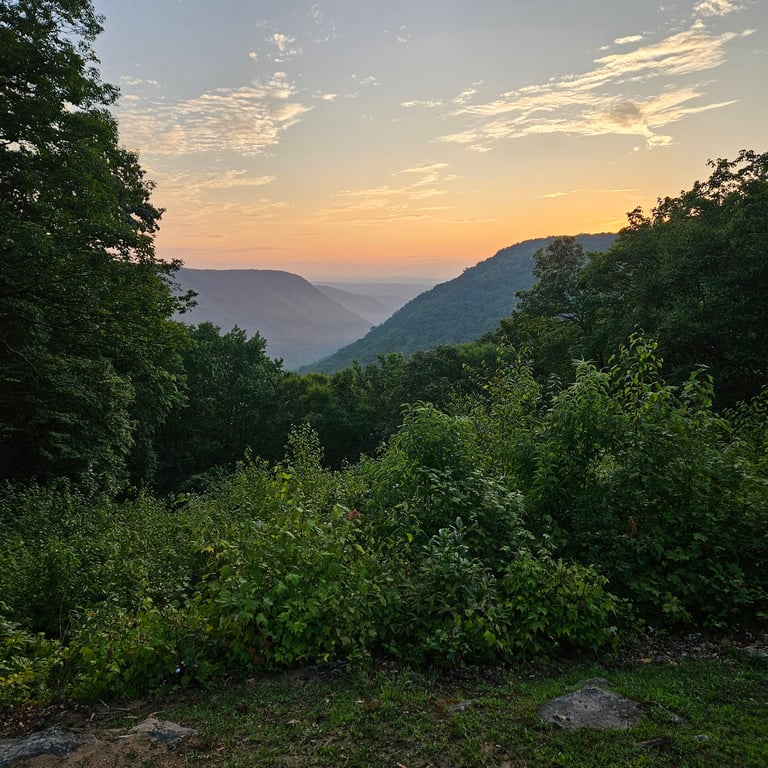 Babcock State Park