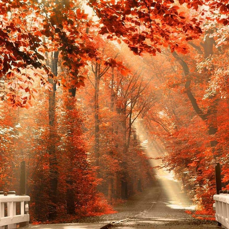 Babcock State Park
