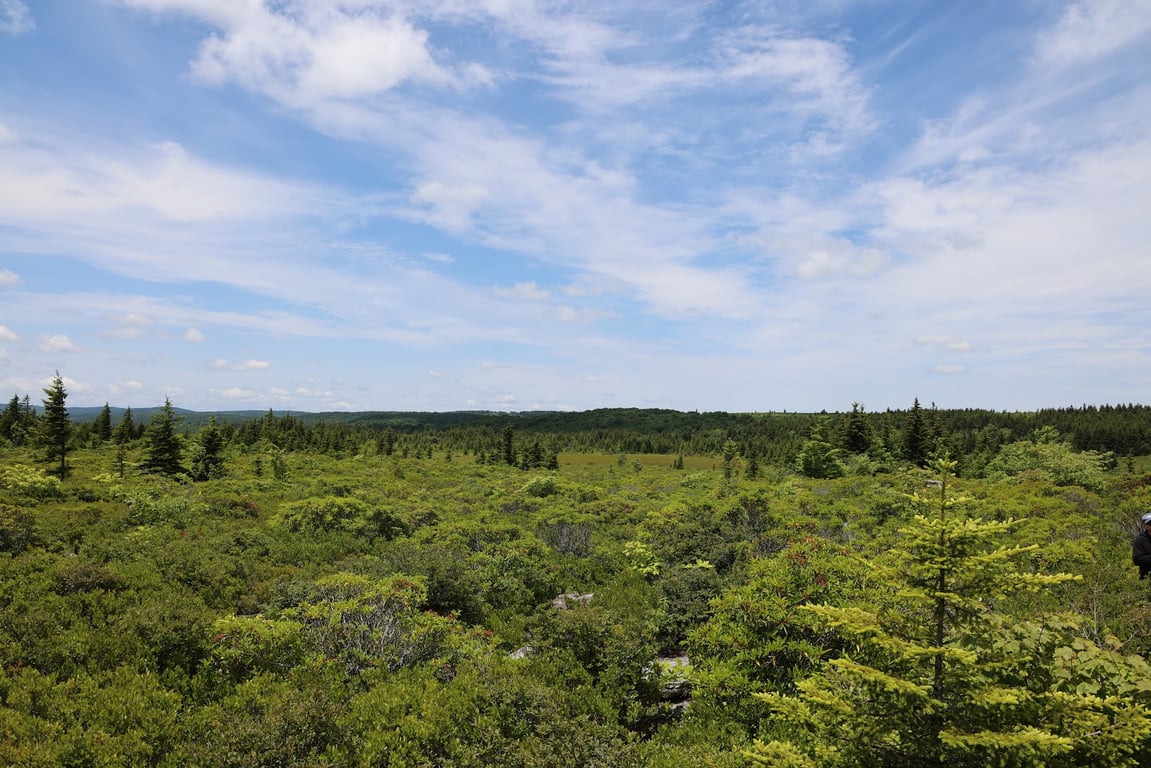 Bear Rocks Preserve