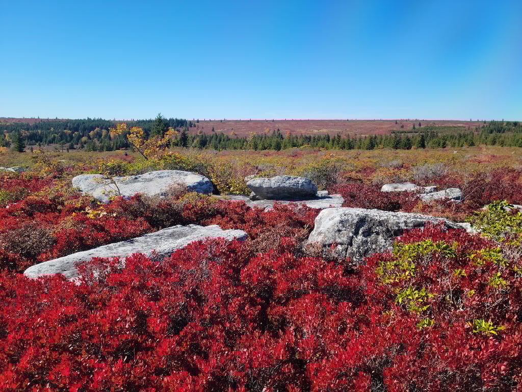 Bear Rocks Preserve
