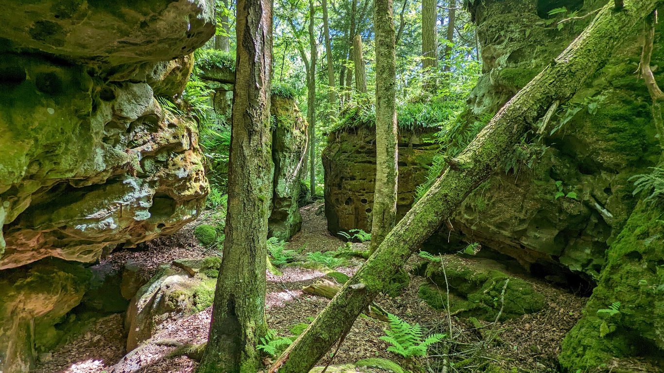 Beartown State Park