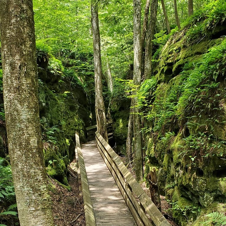 Beartown State Park