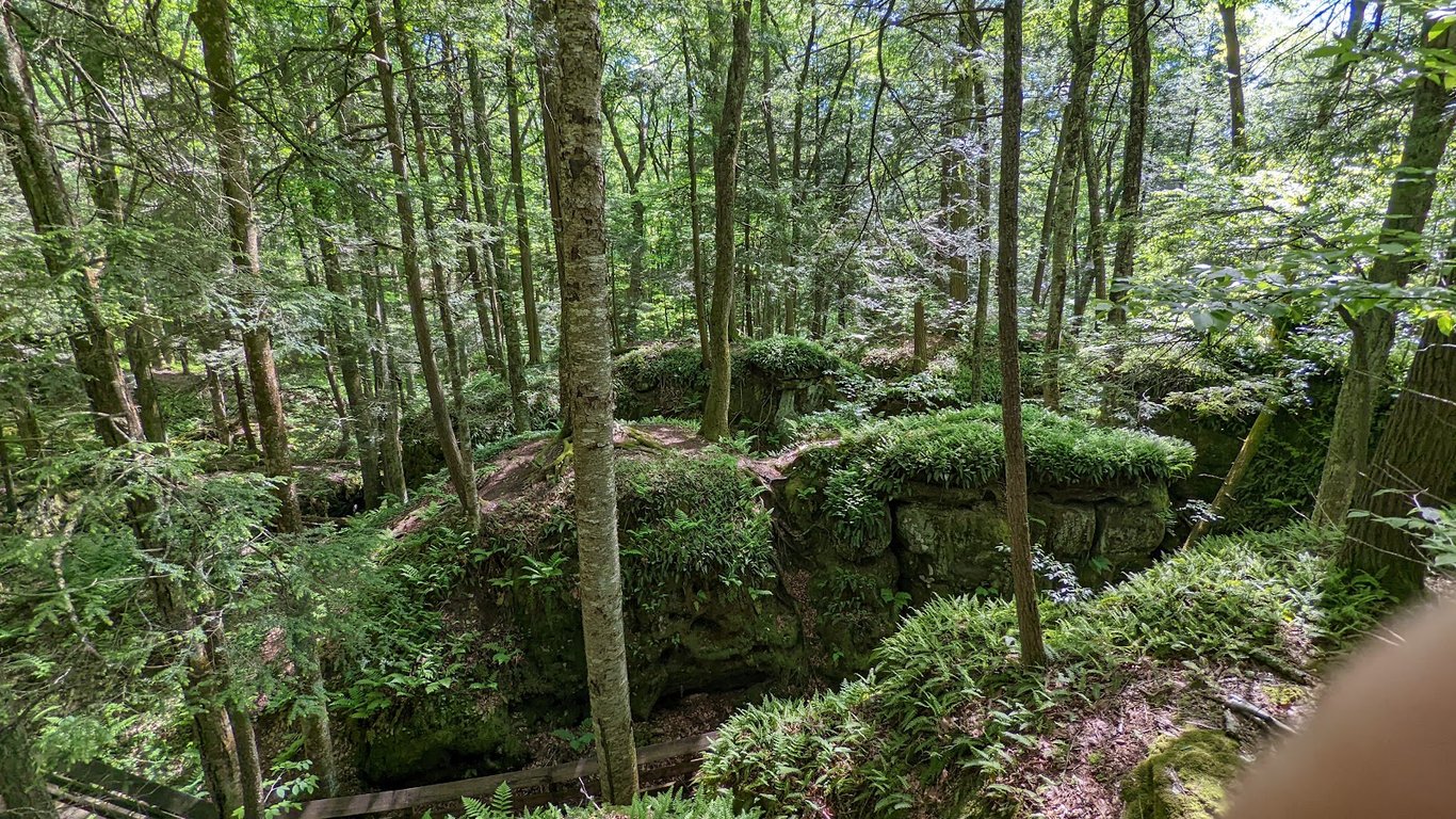 Beartown State Park