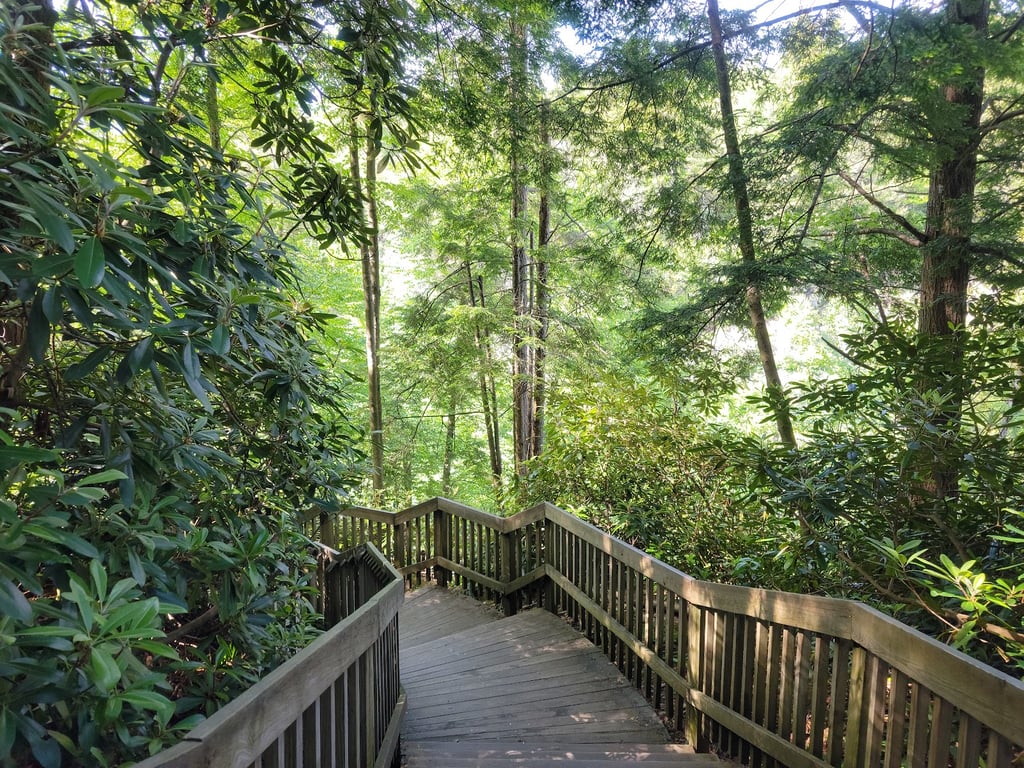 Blackwater Falls State Park
