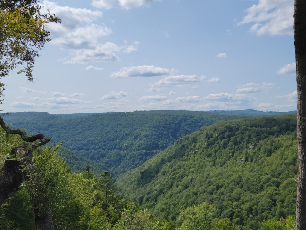 Blackwater Falls State Park