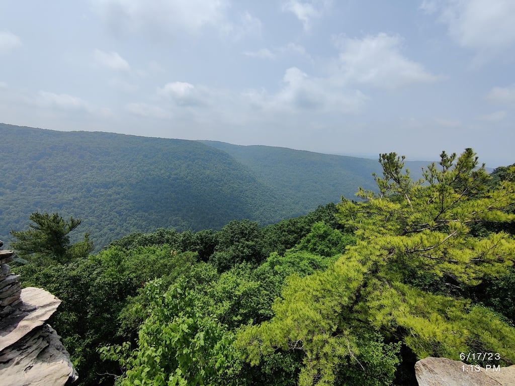 Coopers Rock Overlook