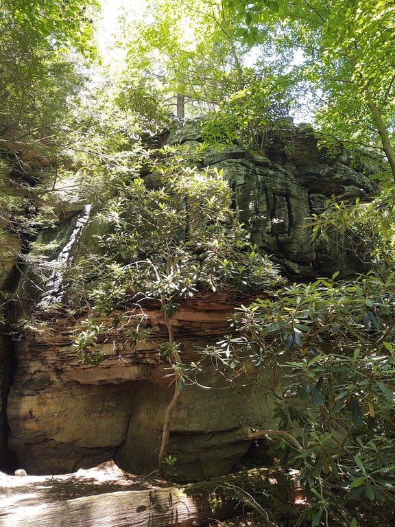 Coopers Rock Overlook