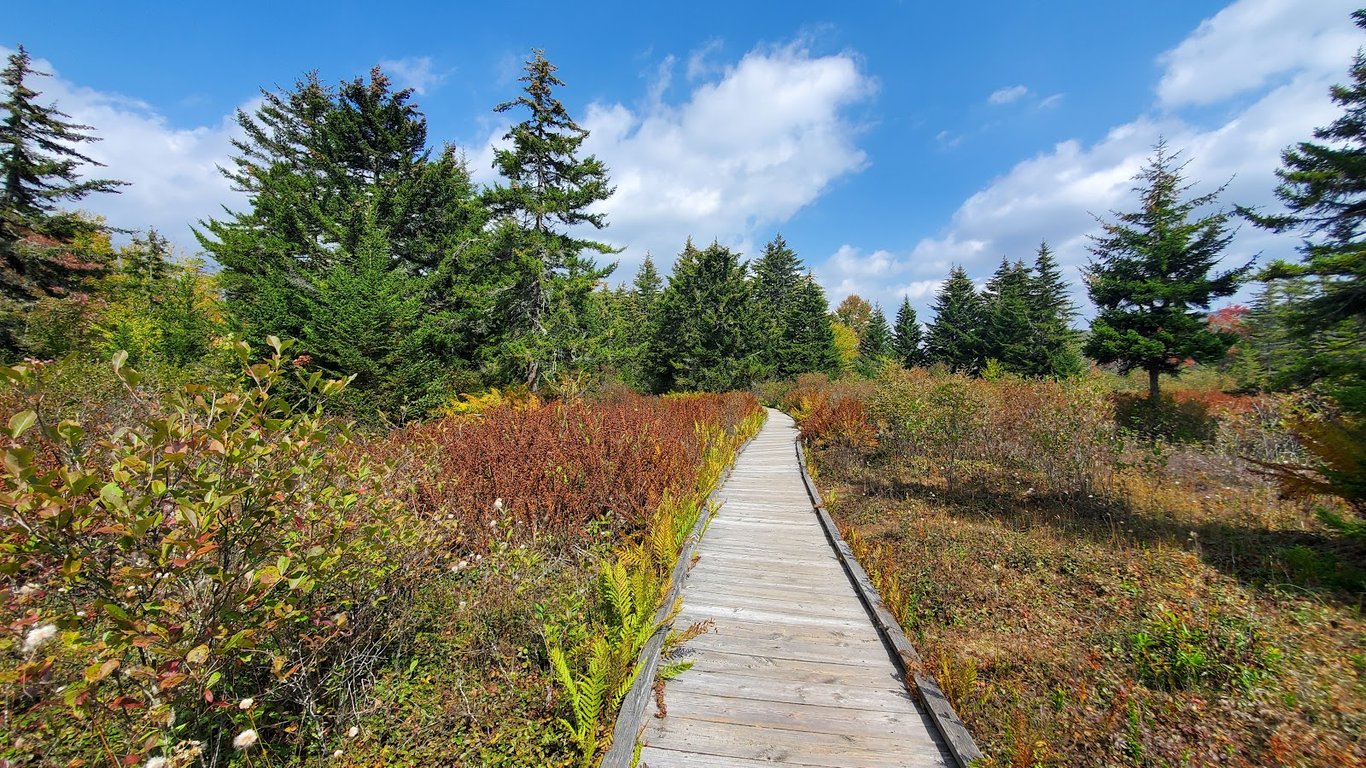 Cranberry Glades Botanical Area
