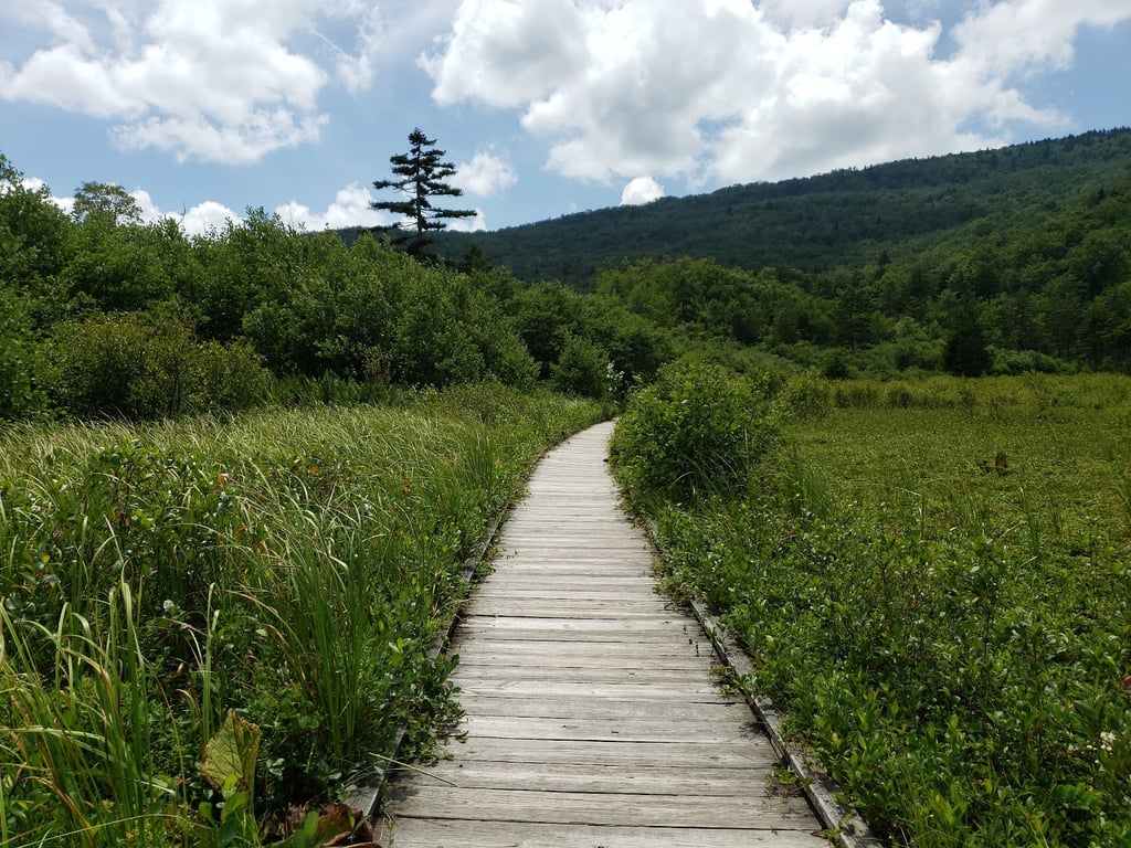 Cranberry Glades Botanical Area