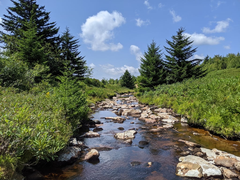 Dolly Sods Wilderness