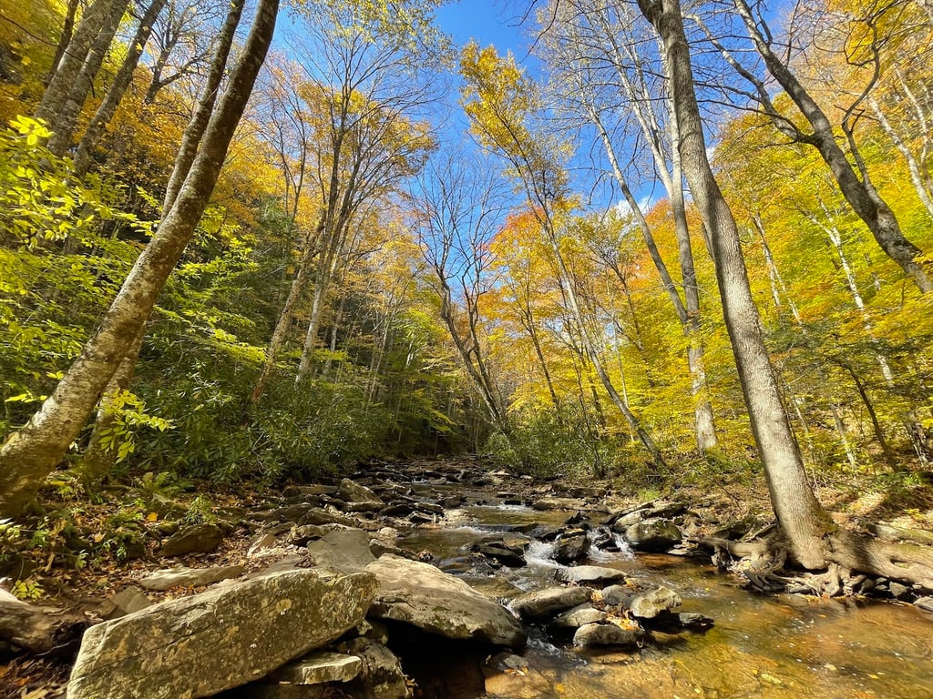 Falls of Hills Creek
