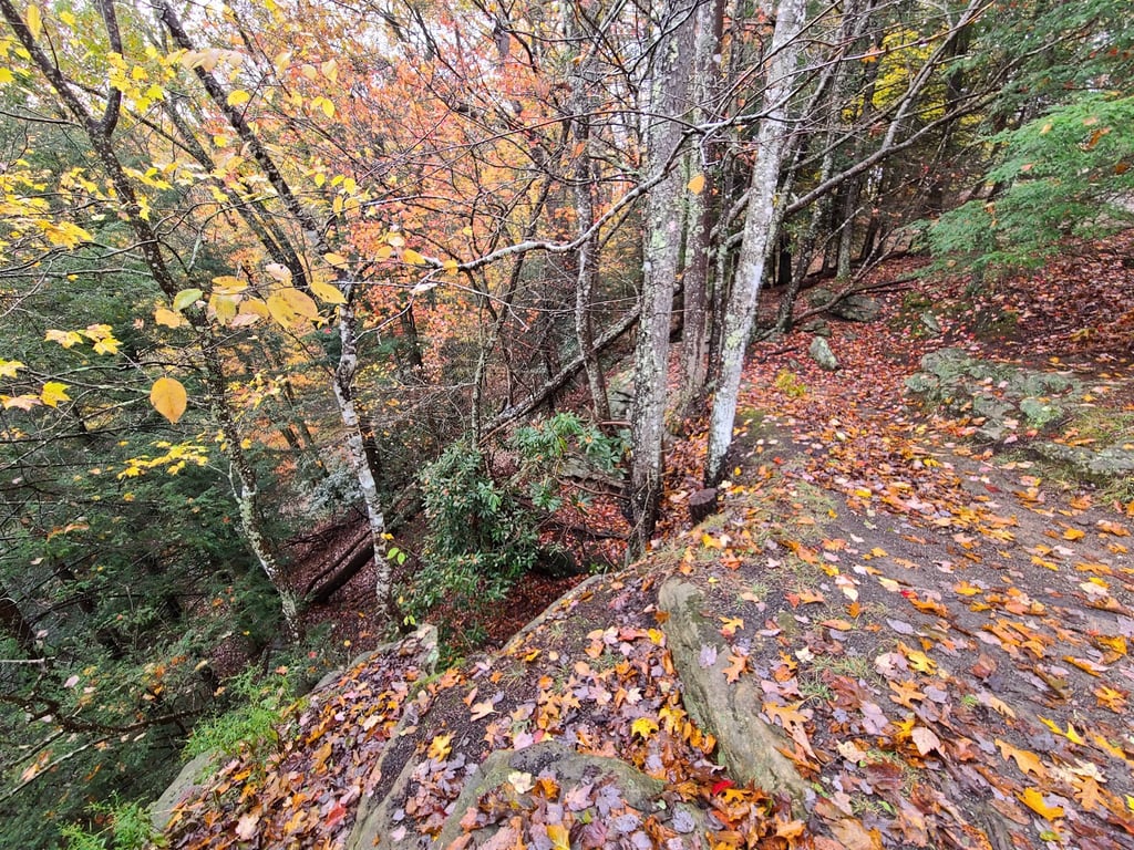Grandview Overlook
