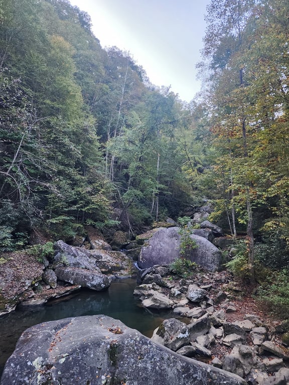 Long Point Trail Overlook