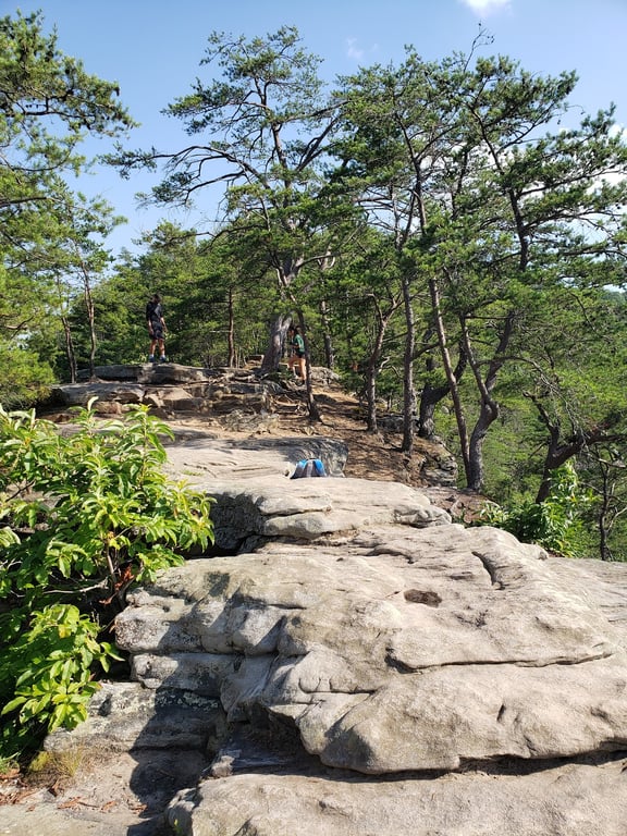 Long Point Trail Overlook