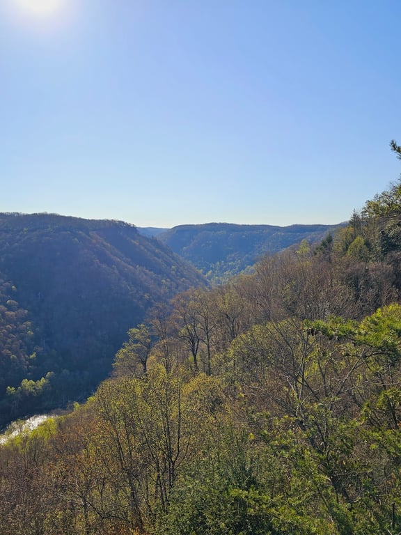 Long Point Trail Overlook