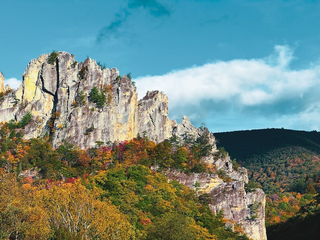 Seneca Rocks Discovery Center
