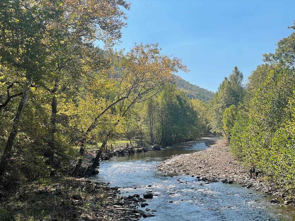 Seneca Rocks Discovery Center
