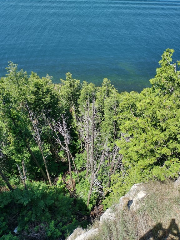 Ellison Bluff County Park