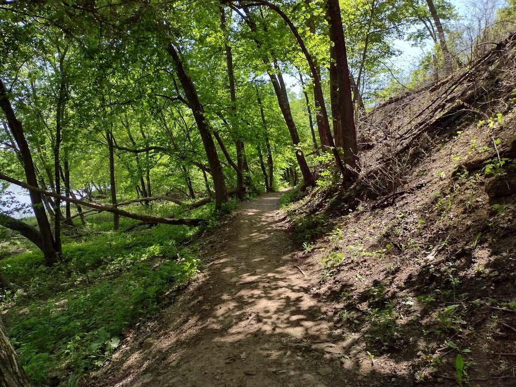 Ferry Bluff State Natural Area