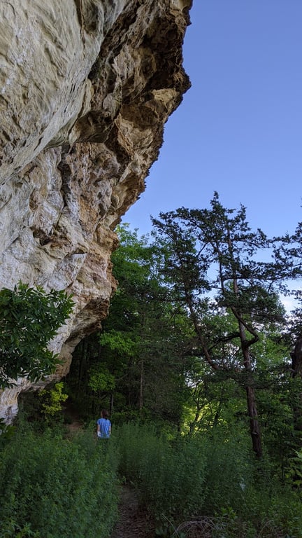 Ferry Bluff State Natural Area