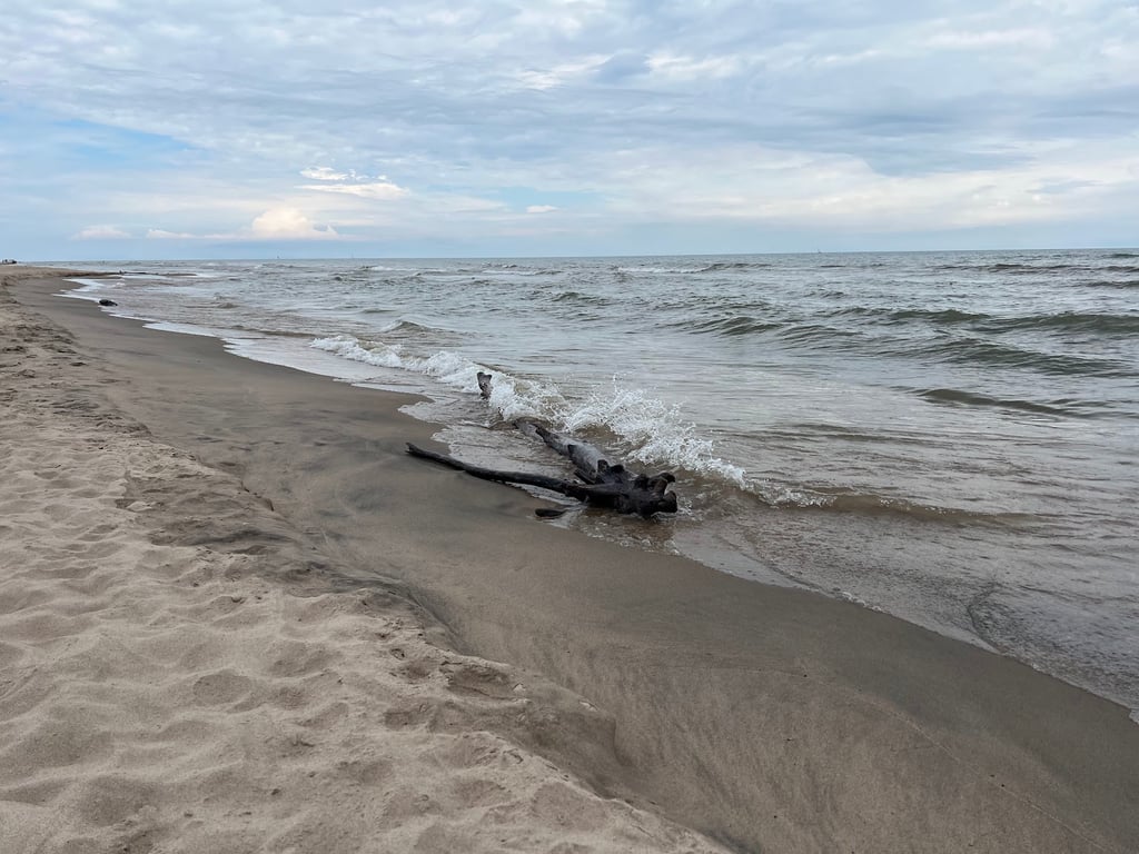 Kohler-Andrae State Park
