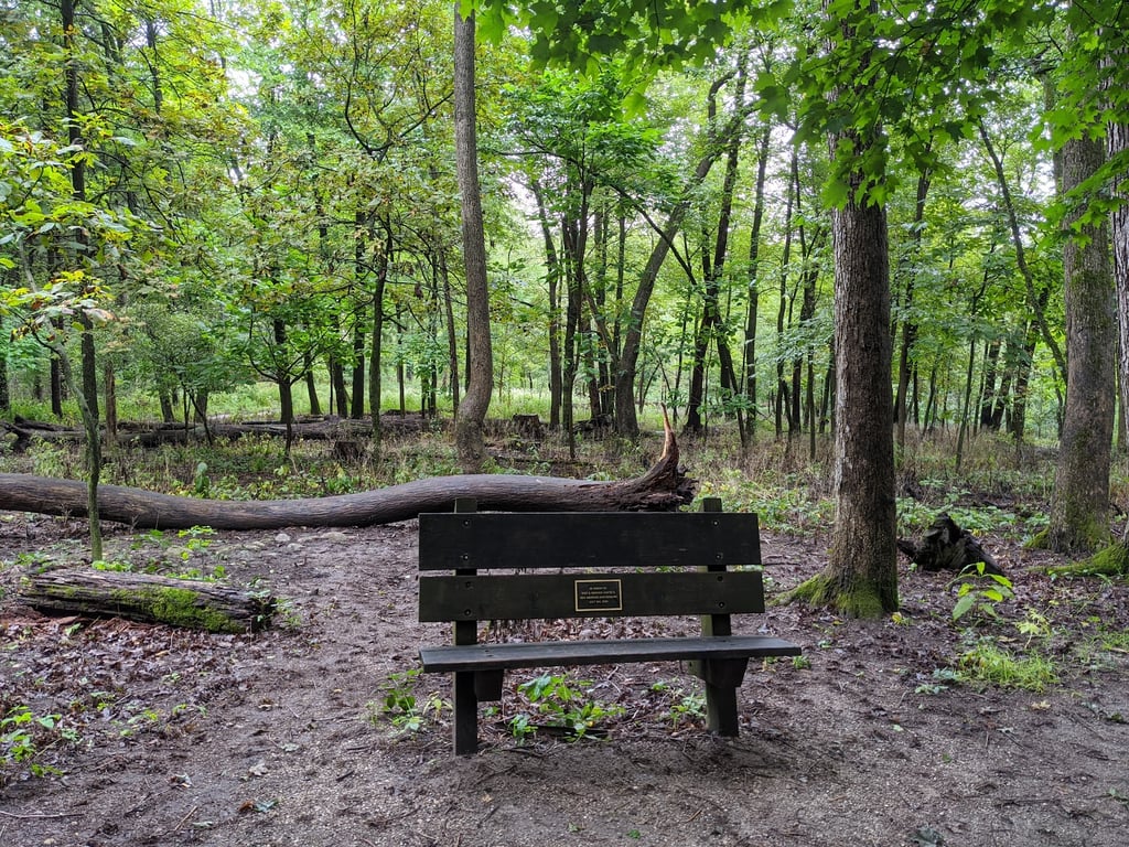 Lapham Peak Tower