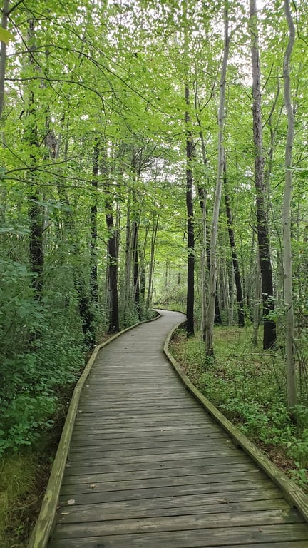 Schmeeckle Reserve