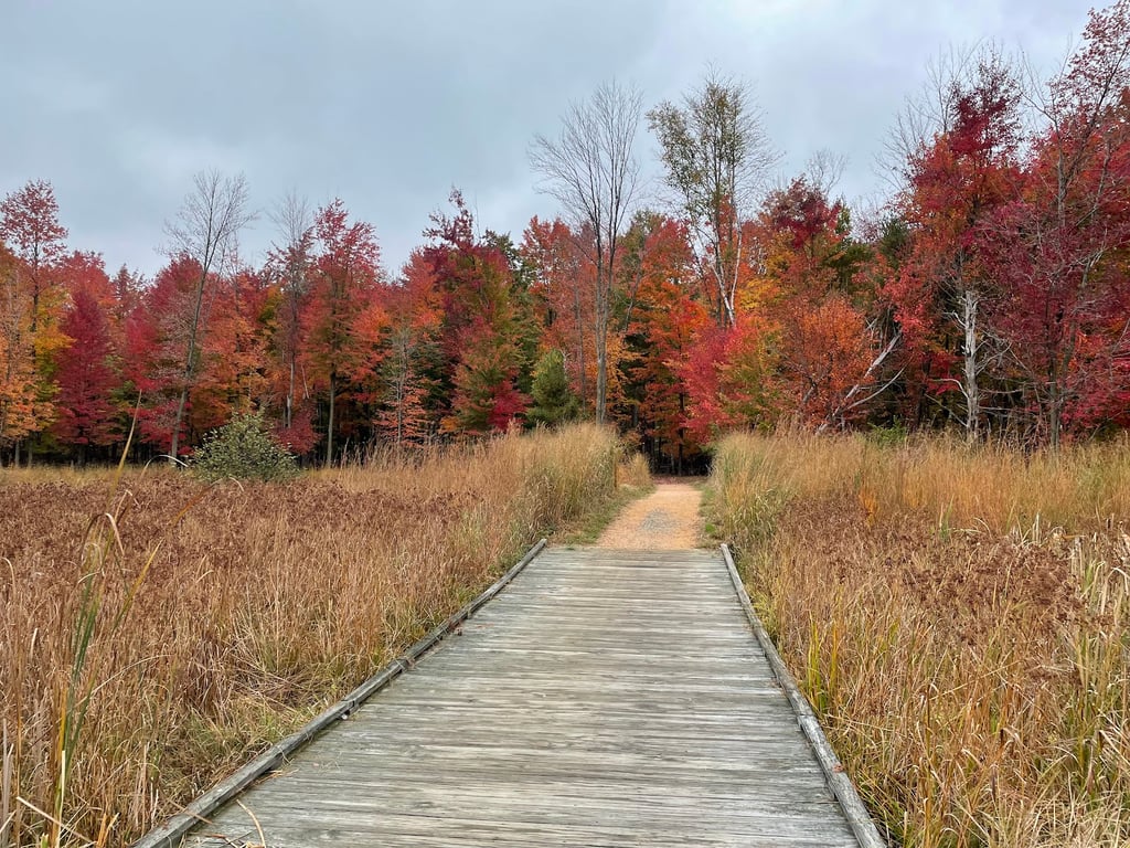 Schmeeckle Reserve
