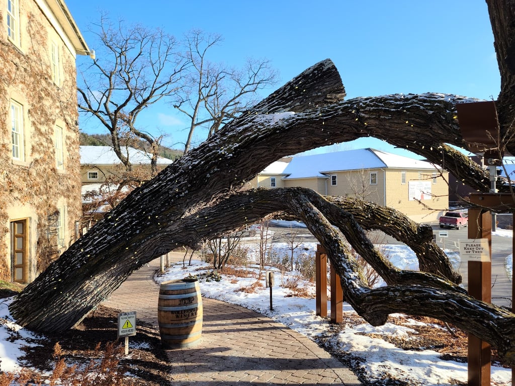 Wollersheim Winery