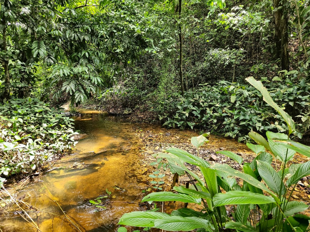 Wli Waterfalls