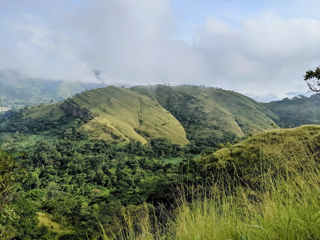Wli Waterfalls