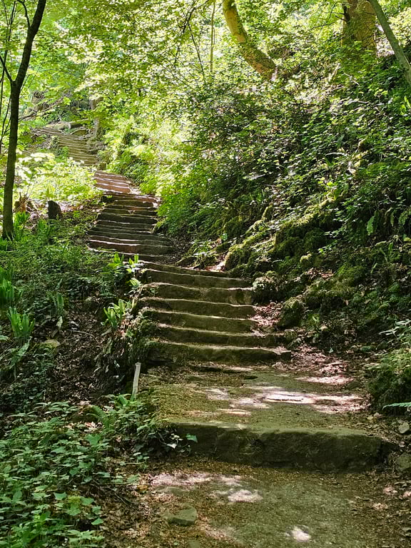 Wollefsschlucht