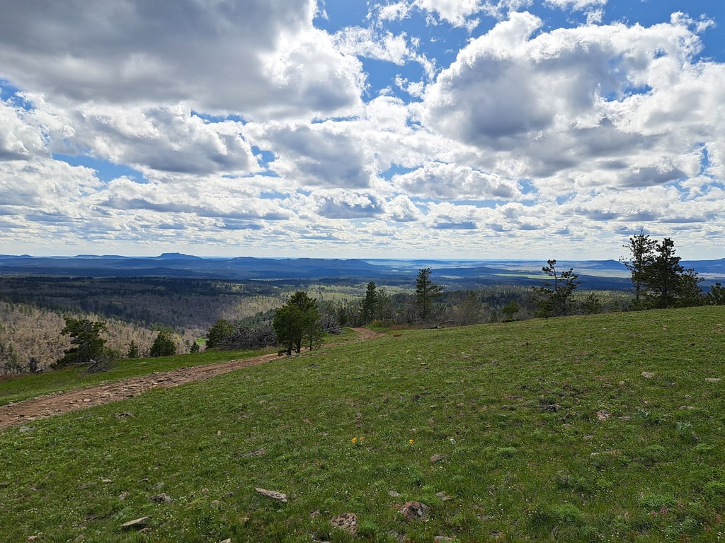 Cement Ridge Fire Lookout