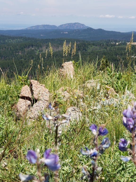 Cement Ridge Fire Lookout