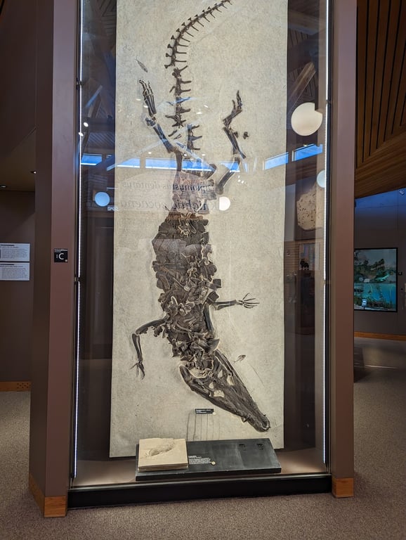Fossil Butte National Monument