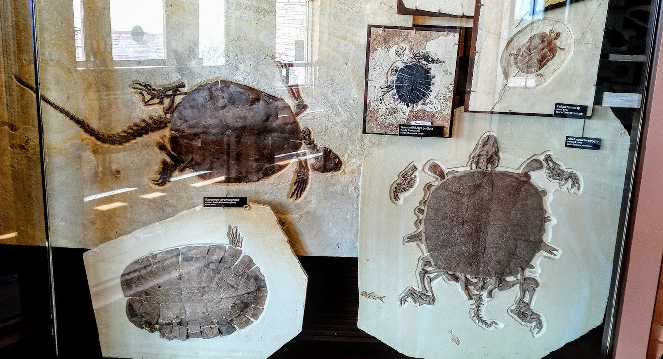 Fossil Butte National Monument