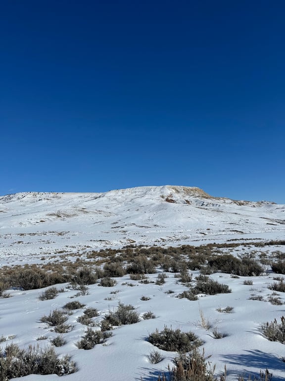 Fossil Butte National Monument