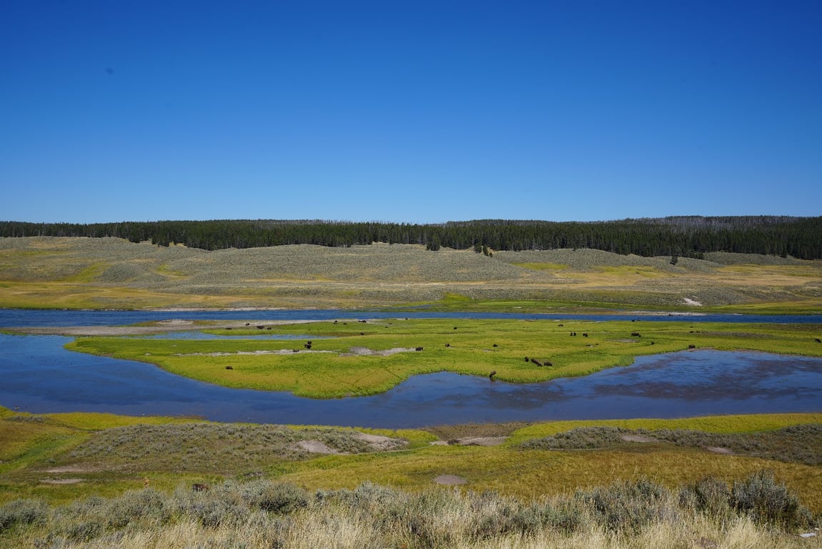 Hayden Valley