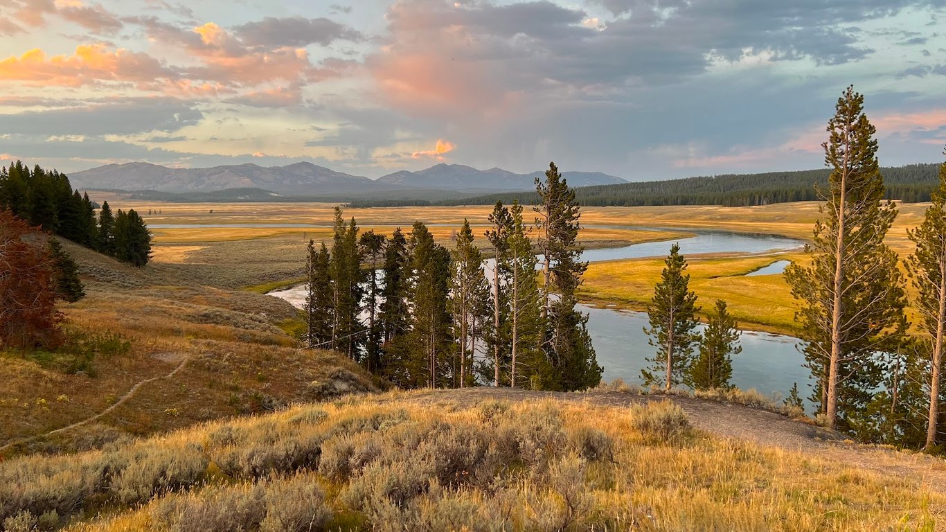 Hayden Valley