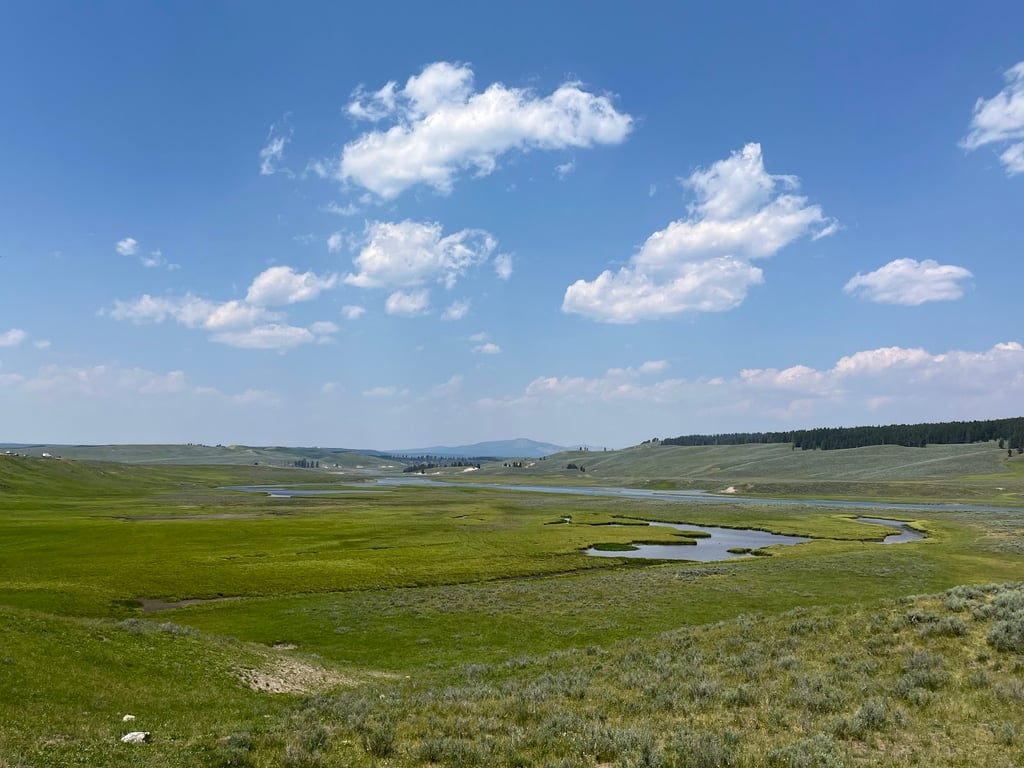 Hayden Valley