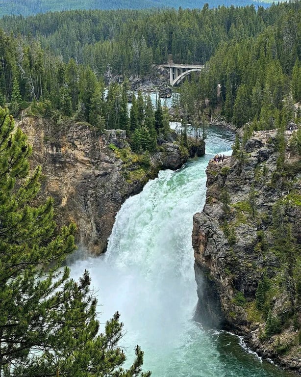 Lower Falls of the Yellowstone