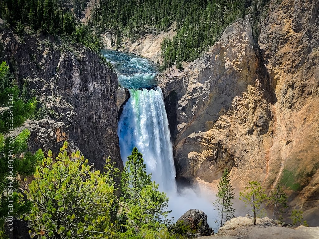 Lower Falls of the Yellowstone