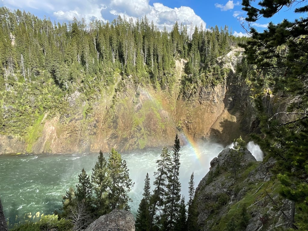 Lower Falls of the Yellowstone