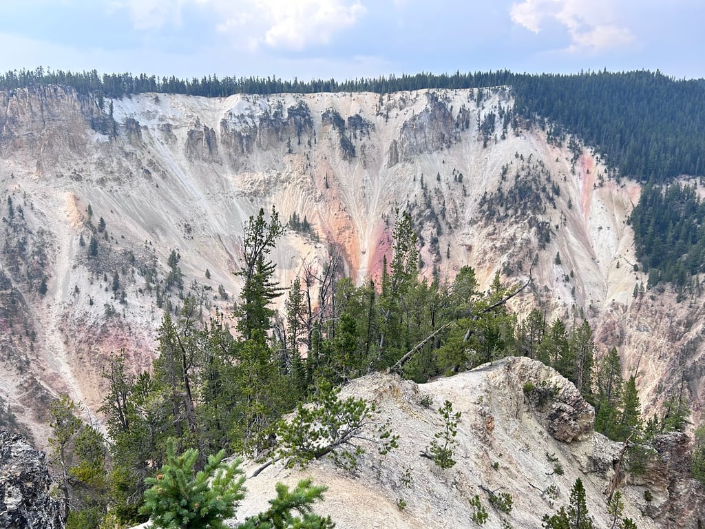 Lower Falls of the Yellowstone