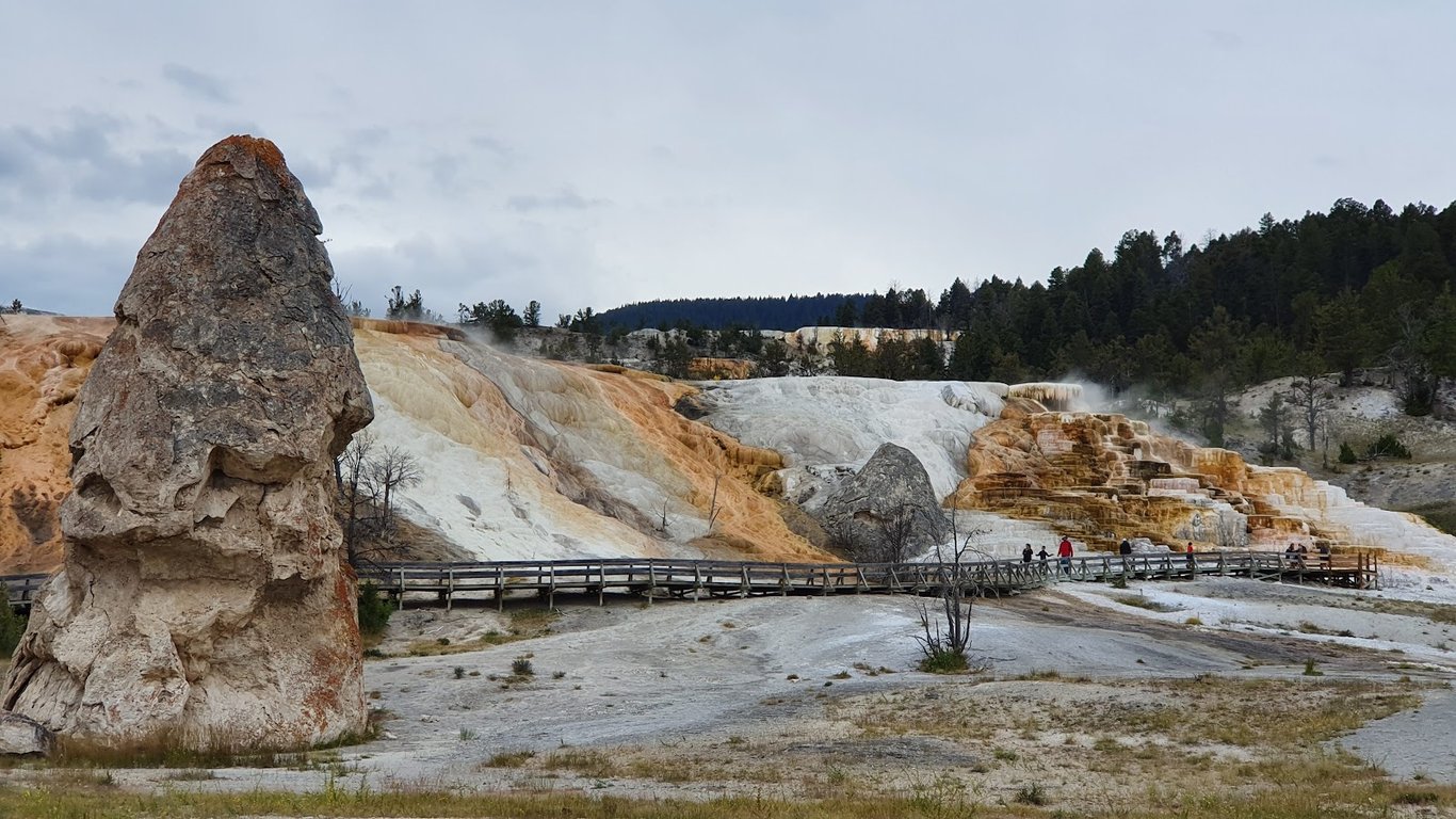 Mammoth Hot Springs Terraces