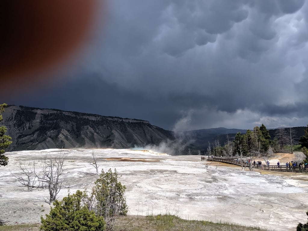 Mammoth Hot Springs Terraces