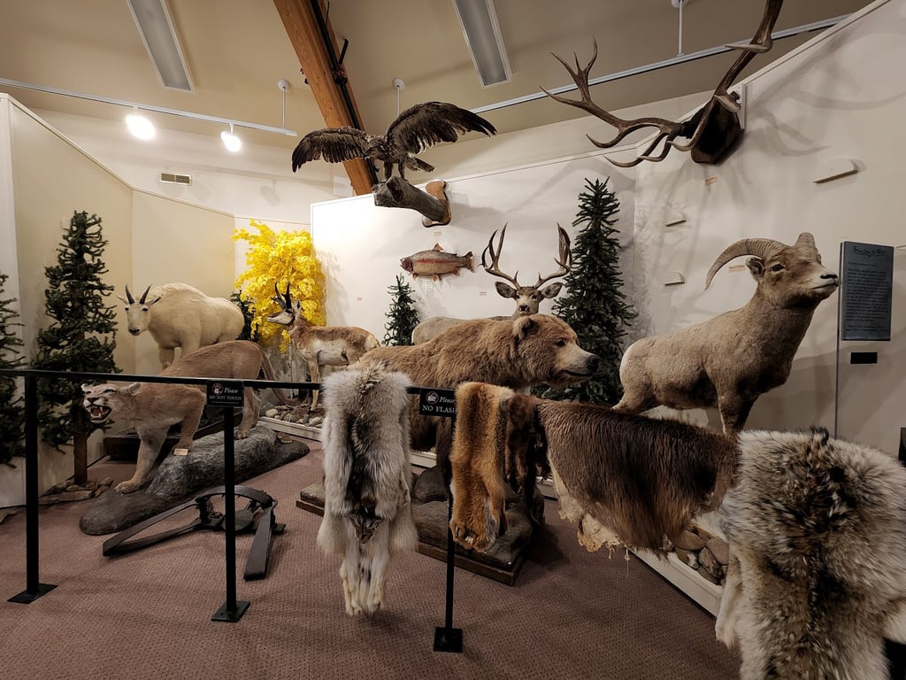 Museum of the Mountain Man