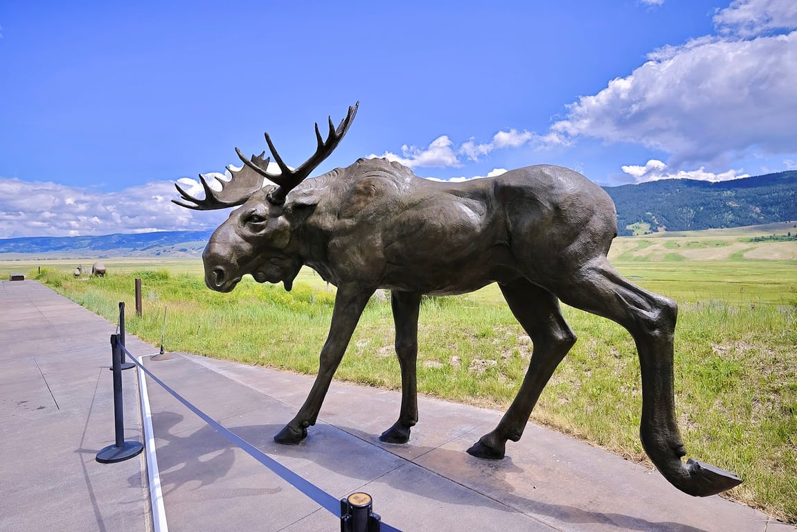 National Museum of Wildlife Art