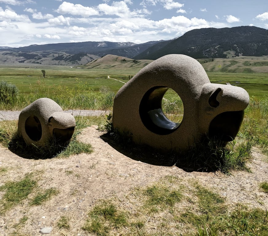 National Museum of Wildlife Art